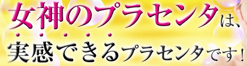 100%���v���Z���^�T�v���u���_�̃v���Z���^�v���T�C�g